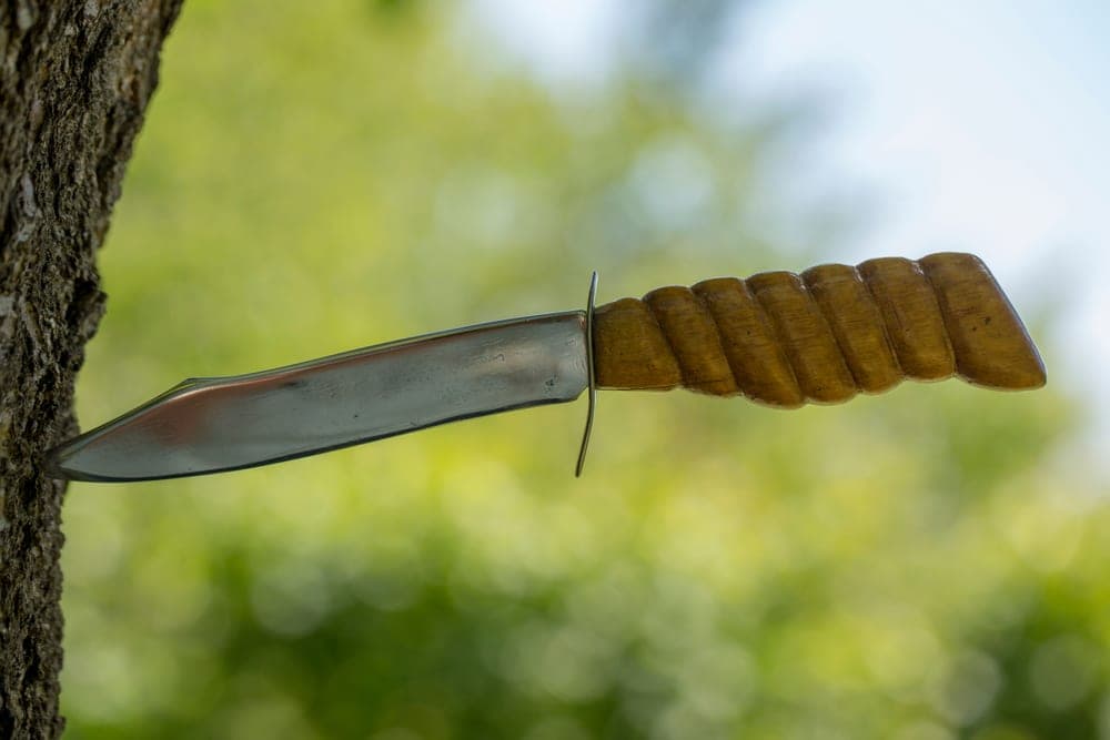 A wooden-handled knife stuck in a tree trunk